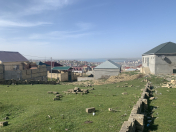 Satılır 3.9 sot torpaq Hökməli