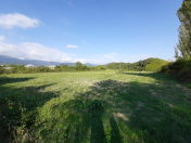 Satılır 48 sot torpaq Qəbələ