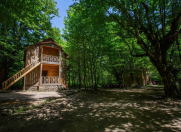 Satılır 10 otaqlı 40000 m2 obyekt Qəbələ