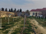Satılır 10 sot torpaq Novxanı