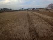 Satılır 13 sot torpaq Bilgəh