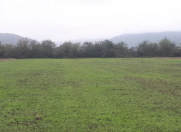 Satılır 100 sot torpaq Quba