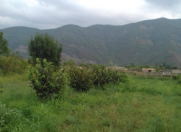 Satılır 75 sot torpaq Qax