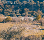 Satılır 8 sot torpaq Quba