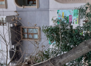 İcarəyə verilir 5 otaqlı 70 m2 obyekt Sumqayıt