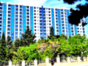 Satılır 2 otaqlı 57 m2 yeni tikili Sevinc k/t