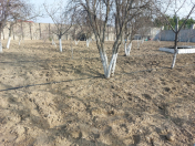 Satılır 600 sot torpaq Şamaxı