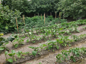 Satılır 10 sot torpaq Xaçmaz