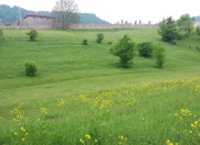 Satılır 40 sot torpaq Quba