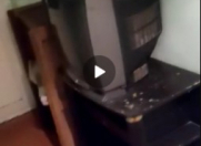 İcarəyə verilir 1 otaqlı 30 m2 həyət evi Bakı