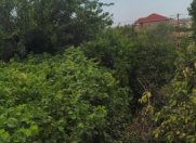 Satılır 5 sot torpaq Qaraçuxur