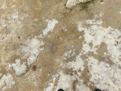 Satılır 4 sot torpaq Qala