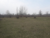 Satılır 24 sot torpaq Oğuz