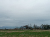 Satılır 15000 sot torpaq Qəbələ