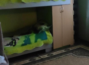 Satılır 6 otaqlı 116.9 m2 həyət evi Astara