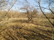 Satılır 15 sot torpaq İsmayıllı