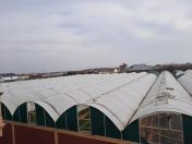 Satılır 42 sot torpaq Türkan