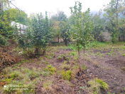 Satılır 10 sot torpaq Qəbələ