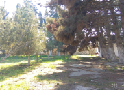 Satılır 14 sot torpaq Mərdəkan