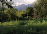 Satılır 42 sot torpaq Oğuz