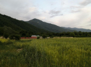 Satılır 1200 sot torpaq İsmayıllı