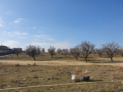 Satılır 12 sot torpaq Masazır