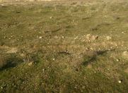 Satılır 4 sot torpaq Respublika stadionu