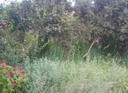 Satılır 2 otaqlı 805 m2 həyət evi Əhmədli