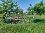 Satılır 4 otaqlı 100 m2 bağ evi İsmayıllı