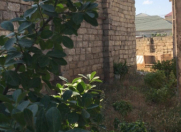 Satılır 6 sot torpaq Bakıxanov