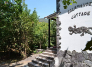 İcarəyə verilir 1 otaqlı 60 m2 bağ evi Zaqatala