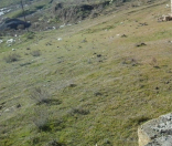 Satılır 3.6 sot torpaq Xırdalan