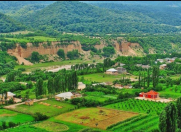 Satılır 200 sot torpaq Qusar