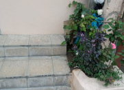 Satılır 2 otaqlı 42 m2 həyət evi Asan Xidmət-2