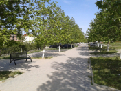 Satılır 3 sot torpaq Masazır