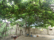 Satılır 4 sot torpaq Xəzər r.