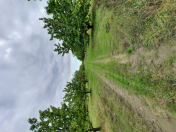 Satılır 170 sot torpaq Xaçmaz