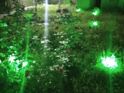 Satılır 4 otaqlı 110 m2 həyət evi Gəncə