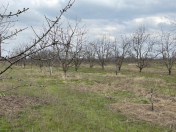 Satılır 72 sot torpaq Quba