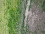 Satılır 3 sot torpaq Ramana