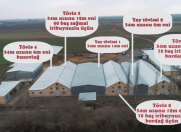 Satılır 1 otaqlı 70000 m2 obyekt Yevlax