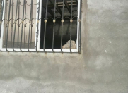 Satılır 6 otaqlı 220 m2 həyət evi Bahar