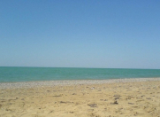 Satılır 350 sot torpaq Türkan