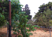 Satılır 12 sot torpaq Mərdəkan