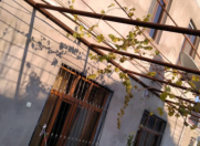 Satılır 6 otaqlı 160 m2 həyət evi Şirvan