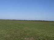 Satılır 10 sot torpaq Salyan