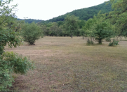 Satılır 32 sot torpaq Quba