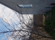 Satılır 4 otaqlı 152 m2 bağ evi Sea Breeze Resort