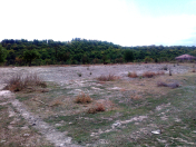 Satılır 5 sot torpaq Quba