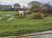 Satılır 18 sot torpaq Lənkəran